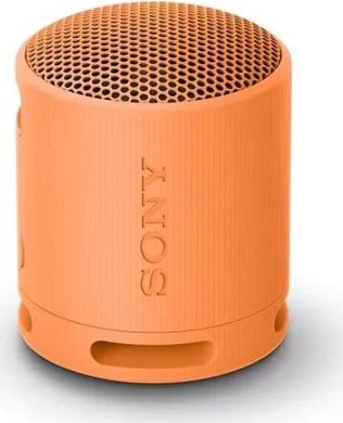 SRS-XB100 – pohľad 1