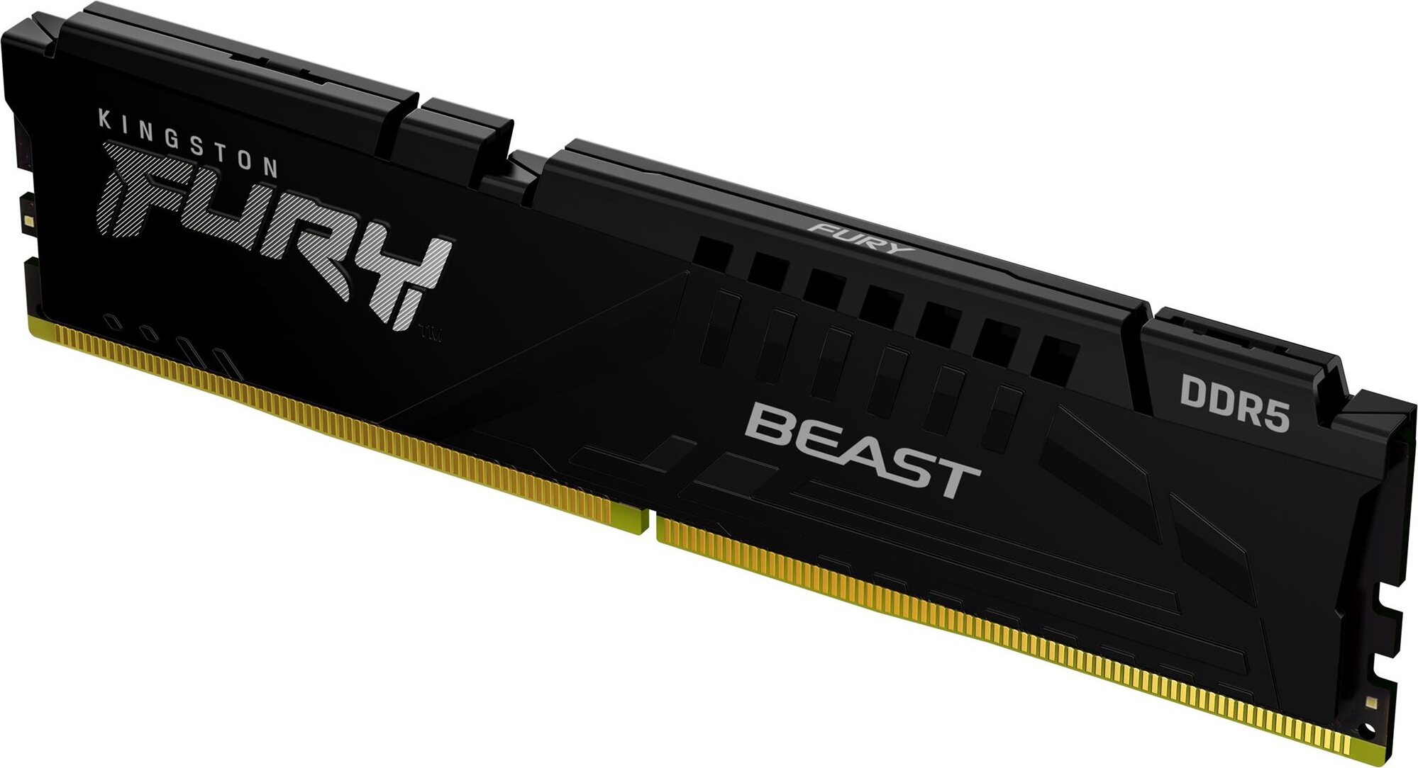 Kingston FURY 16GB DDR5 6400MT/s CL32 Beast Black EXPO