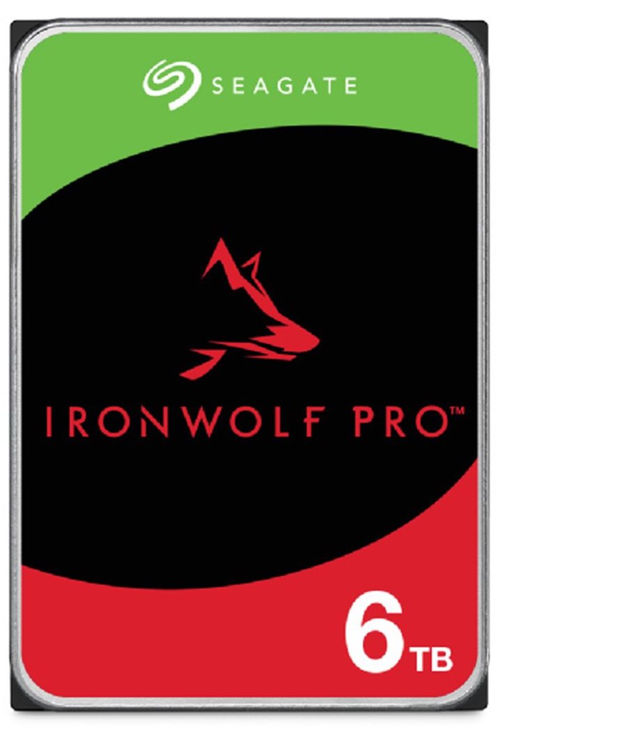 Seagate IronWolf Pro 6 TB