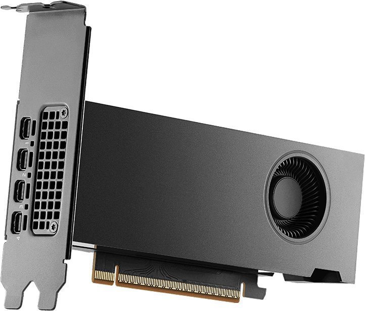 NVIDIA RTX PRO 2000 16 GB Blackwell (BULK)