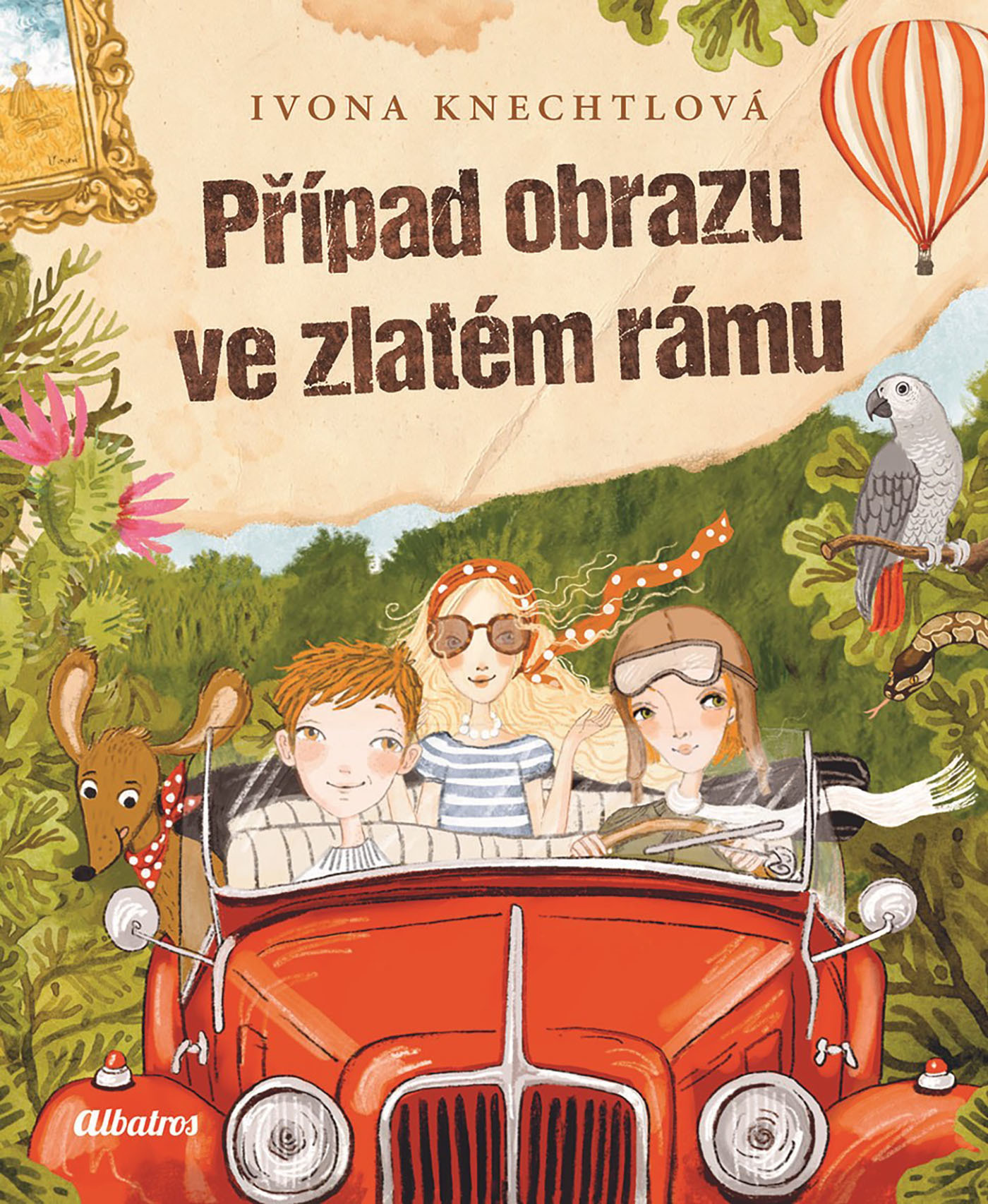 Albatros Případ obrazu ve zlatém rámu