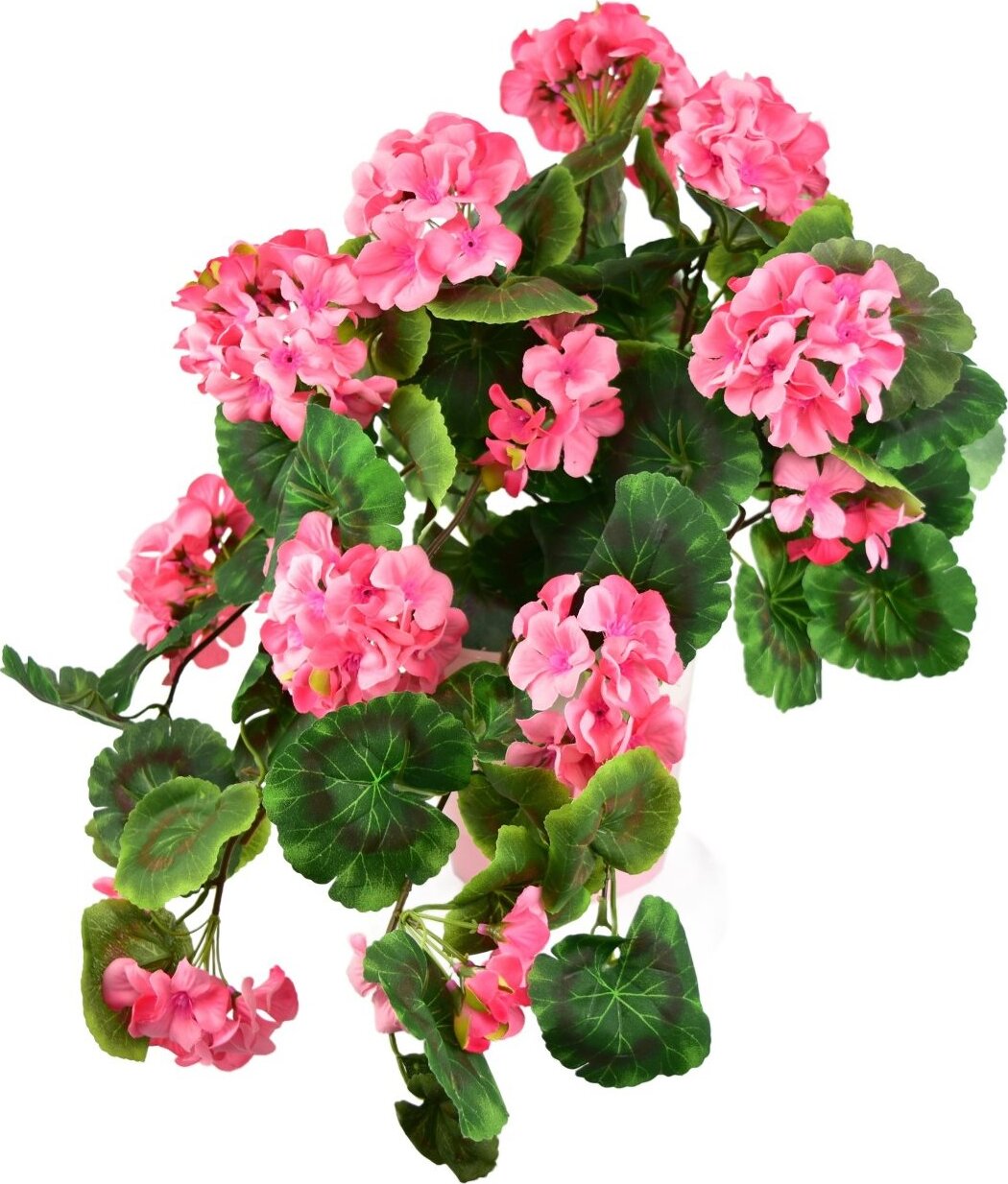 BerryHome Muškát previsnutý svetlo ružový v keramickom kvetináči 50 × 35 cm