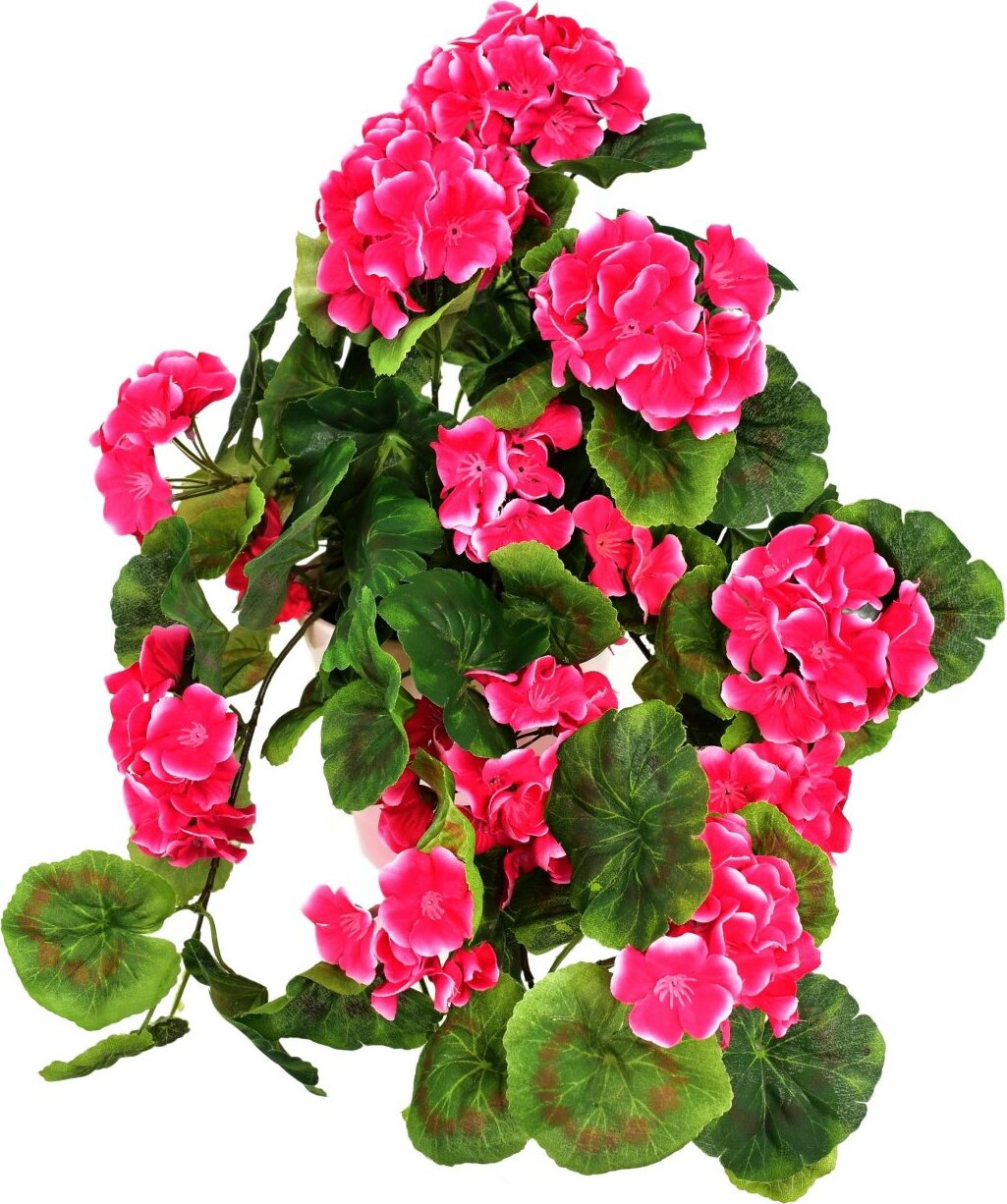 BerryHome Muškát previsnutý ružový v keramickom kvetináči 50 × 35 cm