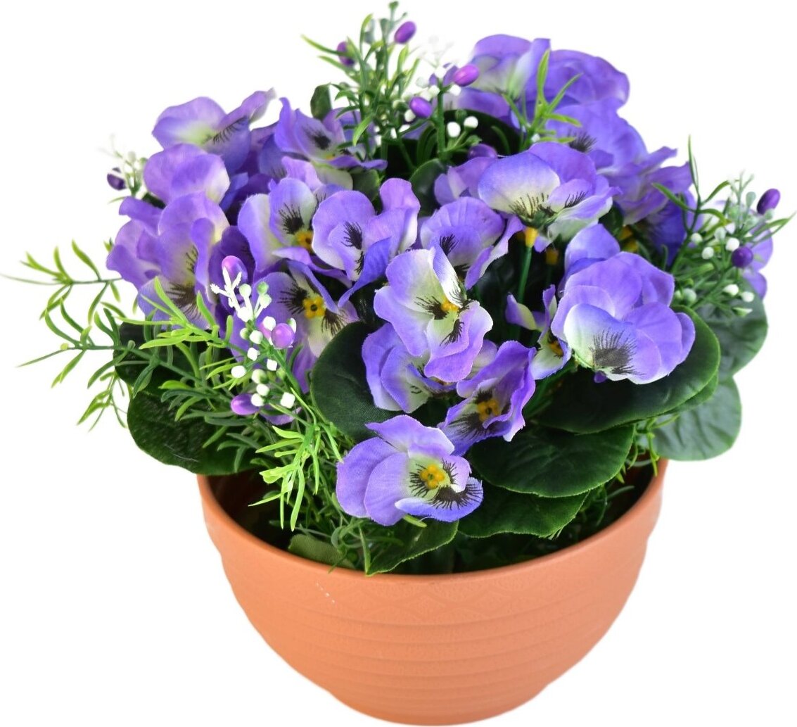 BerryHome Fialky fialové v terakotovej miske, priemer 20/21 cm