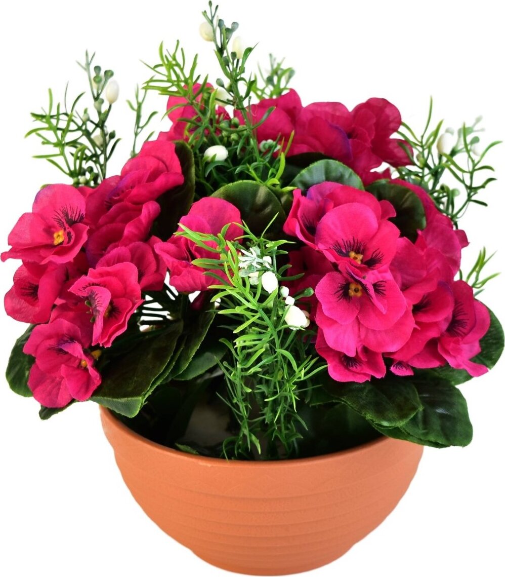 BerryHome Fialky červené v terakotovej miske, priemer 20/21 cm