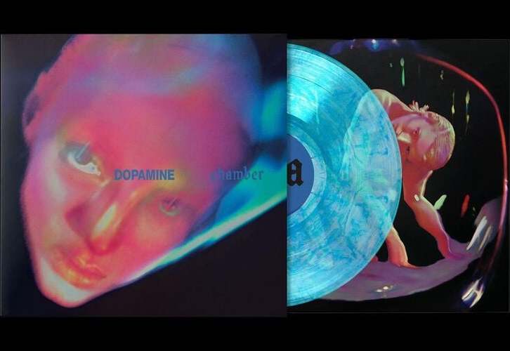 Fontaines D.C Dopamine Chamber LP standard