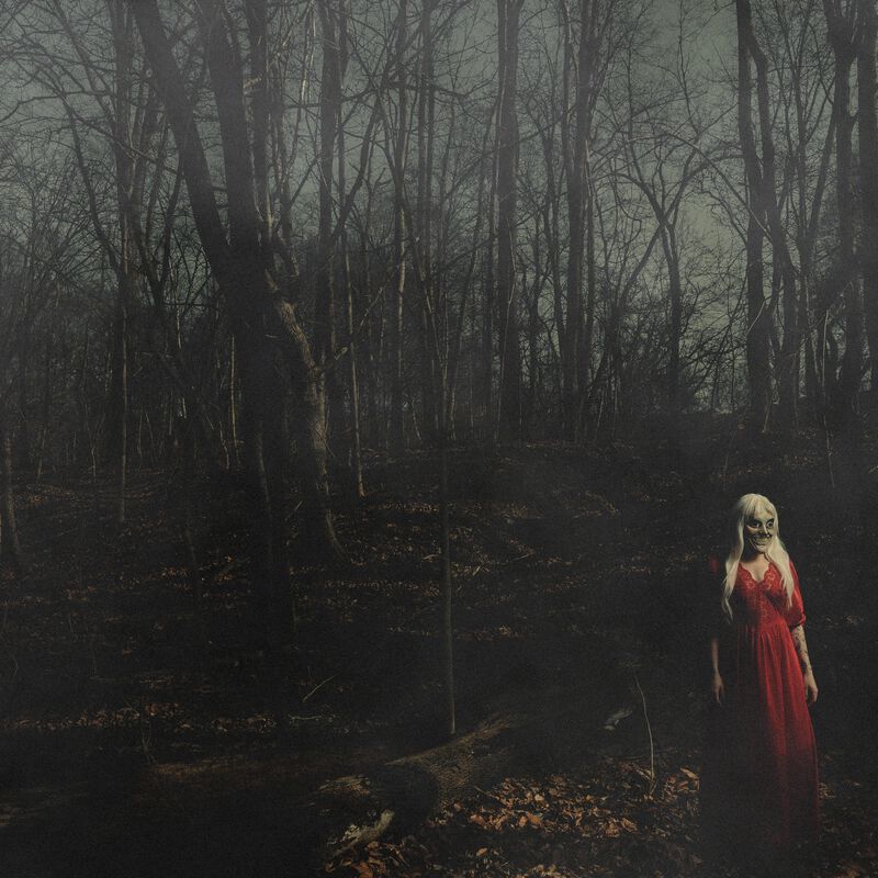 156 / Silence From a distance LP standard