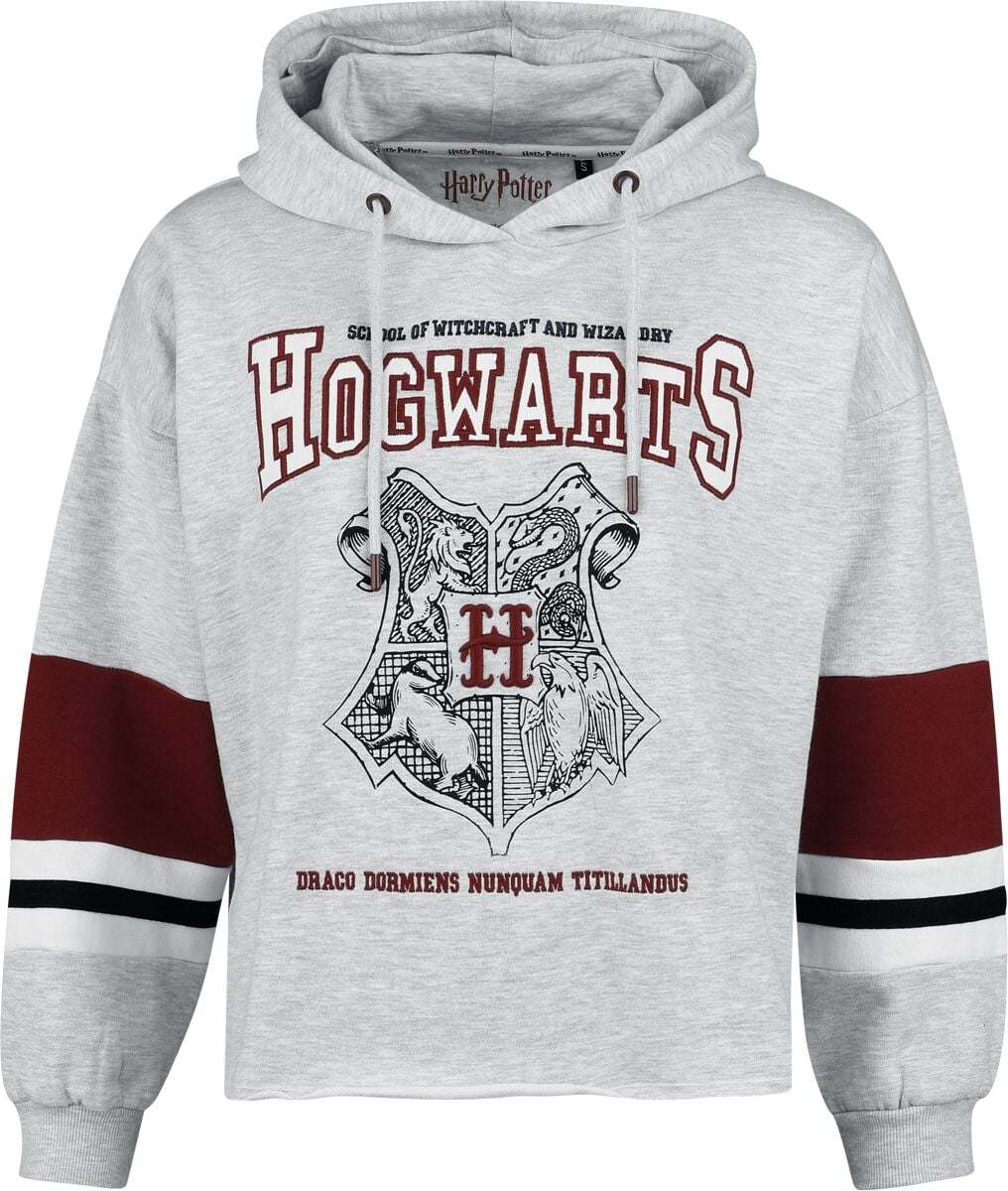 Harry Potter Hogwarts Crest Dámnský svetr šedá
