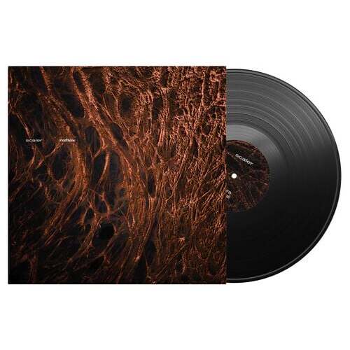 Scaler Reflex 12 inch-EP standard