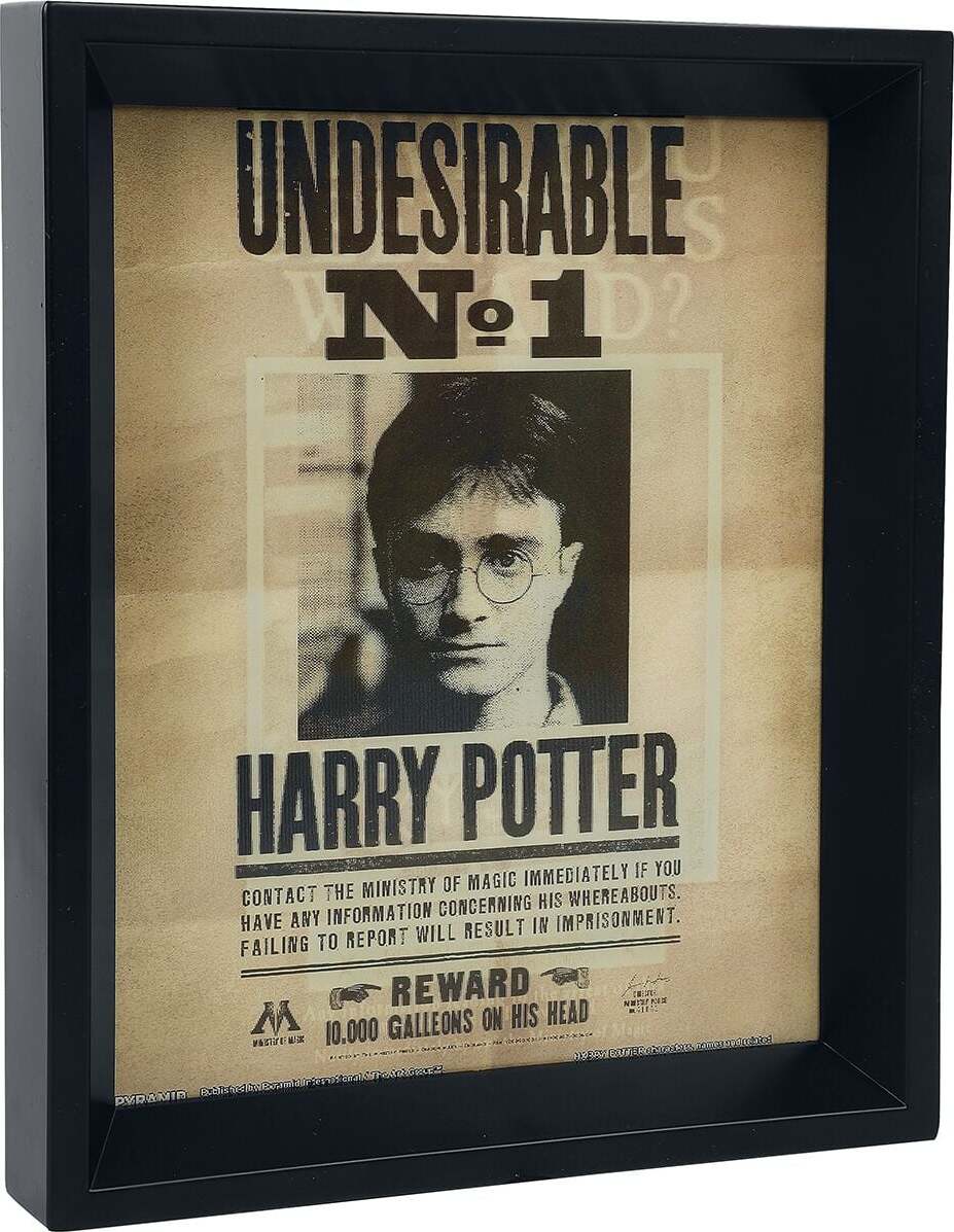 Harry Potter 3D obrázek Potter / Sirius Obraz na zeď vícebarevný