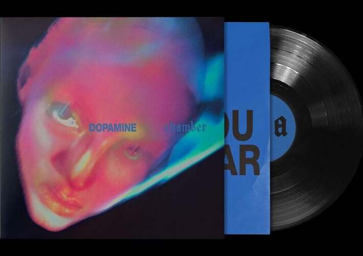 Fontaines D.C Dopamine Chamber LP standard