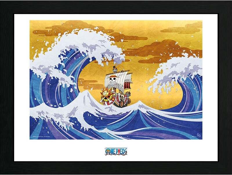 One Piece Thousand Sunny Obraz na zeď vícebarevný